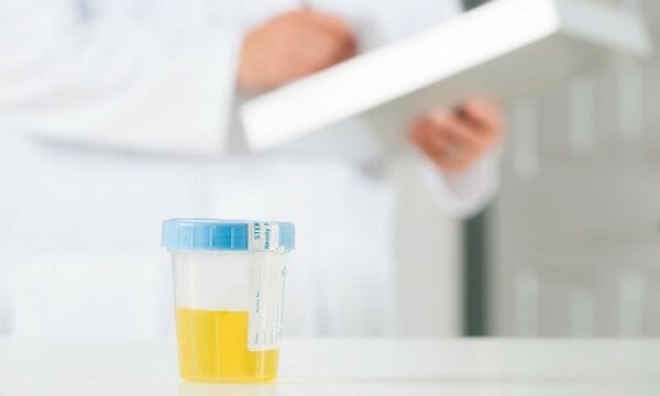 best synthetic urine